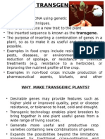 Transgenic Plants