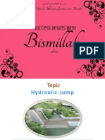 Hydraulic Jump