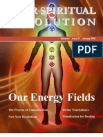 Our Energy Fields - Your Spiritual Revolution Emag: Jan-2010 Issue