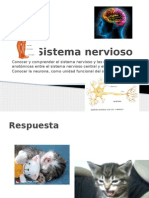 244634737-Sistema-nerviosouuuuul-pptx.pptx
