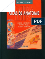 Atlas-Anatomie.pdf