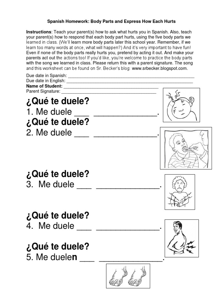 Body Parts Worksheet Throughout Spanish Body Parts Worksheet