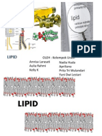 LIPID KOMPONEN