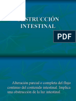 Obstrucción Intestinal