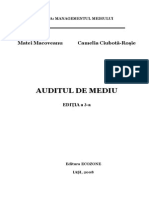 Audit Mediu