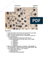 Mitosis Root Cell Lab Part II