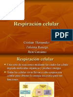 Respiracion Celular