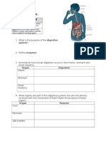 Digestive System Student Worksheet
