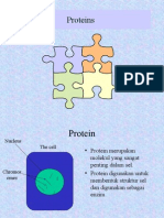 Proteins