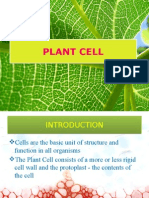 Plant Cell