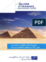 Pyramids Balance Fund 2010