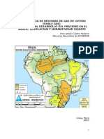 El potencial Desarrollo de Shale Gas en Brasil