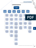 DNA Troubleshooting