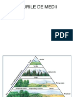 TIPURI+DE+MEDIU.ppt