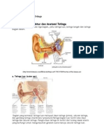Struktur Dan Anatomi Telinga