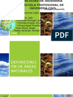 Deforestación de Areas Naturales