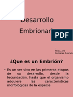 Desarrollo Embrionario, Biologia 3