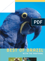 Best of Brazil with the Pantanal
