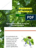 2_Piramides_ecologicas