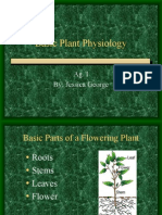 Basic Plant Physiology