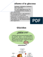 Glucosa UTPL