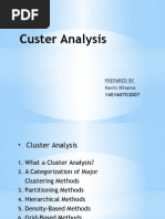 Custer Analysis: Prepared by Navin Ninama