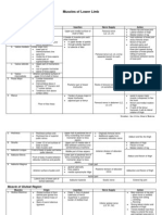 Lower Limb