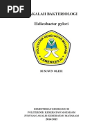 Download Makalah h Pylori by Hilda Baiq Ezkyka SN287620090 doc pdf