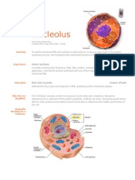 Nucleolus: 15 Nucleus Heart Ave. Contact rRNA Code (CUA) GGC - ACUG