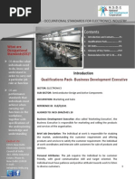 Business Development Executive