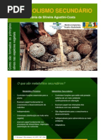 Metabolismo secundario