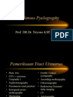 9 Intra Venous Pyelography 2003.ppt