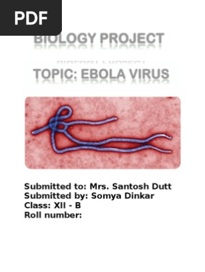 Ebola Virus Ebola Virus Disease Infection