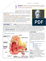 Apendicitis Aguda