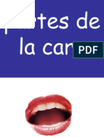 1 Partes de La Cara