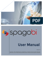 SpagoBI 5 User Manual