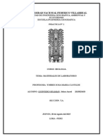 Herramientas de Laboratorio