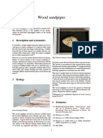 Wood Sandpiper: 1 Description and Systematics