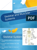 Skeletal and Muscular System