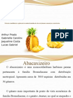 Bromelina Biocatalisadores