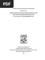 Download Laporan Kimia Organik KROMATOGRAFI KOLOM  KROMATOGRAFI LAPIS TIPIS ISOLASI KURKUMIN DARI KUNYIT Curcuma longa L DAN PEMISAHAN ZAT by aracchan SN287785171 doc pdf