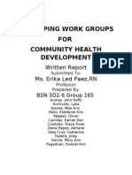 Developing Work groups for Community Health Development