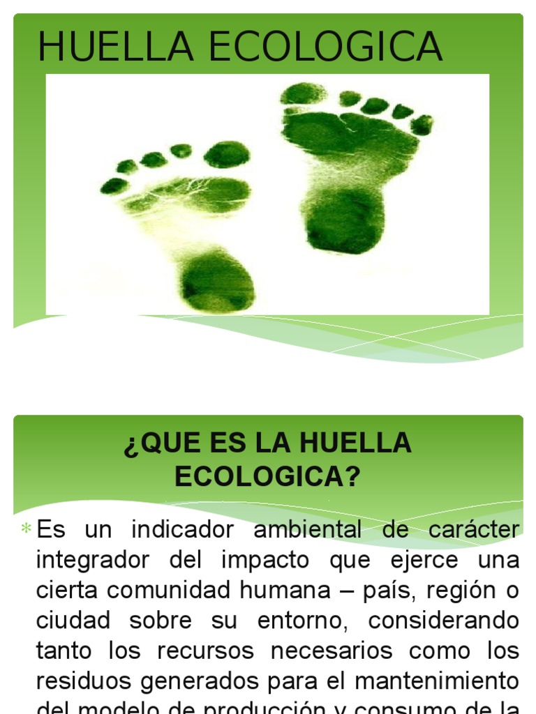 Cómo se Calcula la Huella Ecológica | PDF | Ciencia y matemáticas