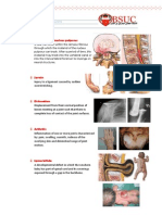 The Study of Joints: Arthrology