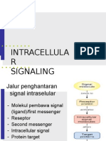 Cell Communication 2