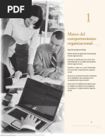 comportamiento organizacional 