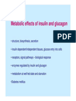 Insulin Glukagon PDF