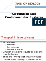 Circulation & Cardiovascular System