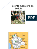 El Movimiento Cocalero de Bolivia