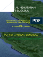 Potret Hutan Bengkulu